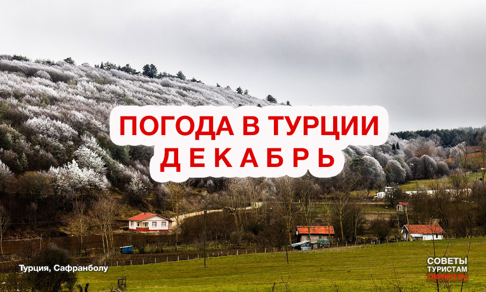 Погода в турции в конце ноябре. Турция климат в декабре. Температура в Турции в декабре. Погода в Турции в декабре 2022. Какая погода в Турции в январе.